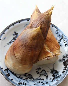 春料理
